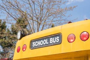 tampa_school_bus_driver